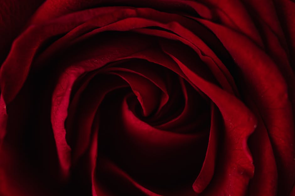 was schenkt trauzeugin zur hochzeit_1