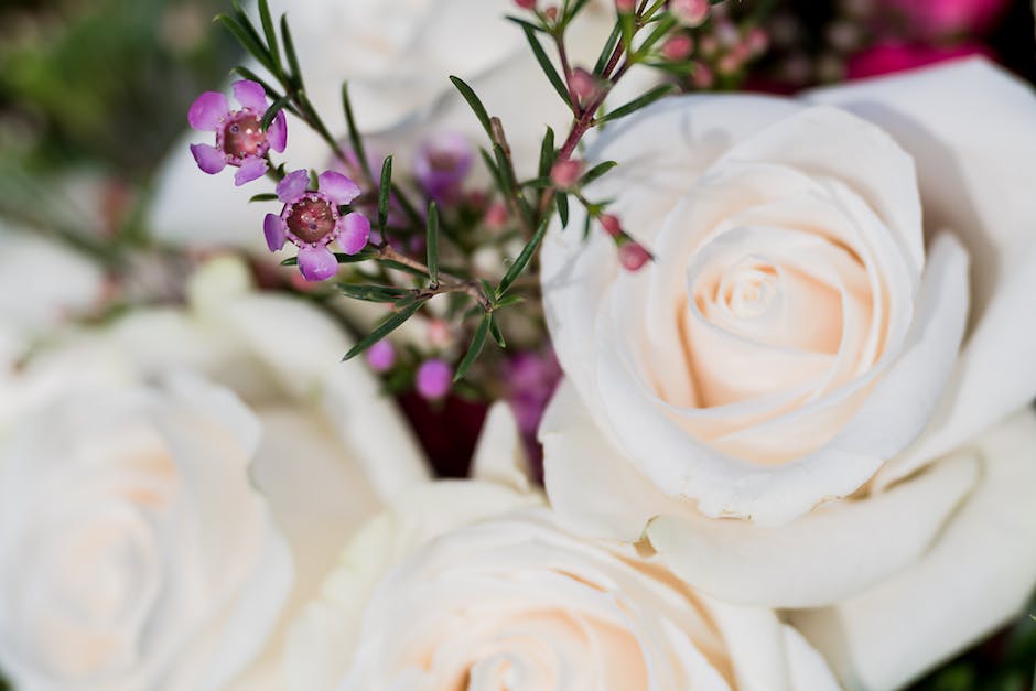 was schenken eltern ihren kindern zur standesamtlichen hochzeit_2